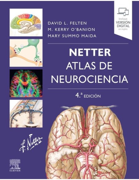 NETTER. Atlas de neurociencia  4 edición