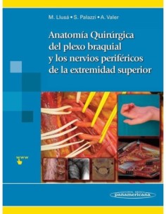 Anatomía quirúrgica del plexo braquial y de los nervios periféricos de la extremidad superior