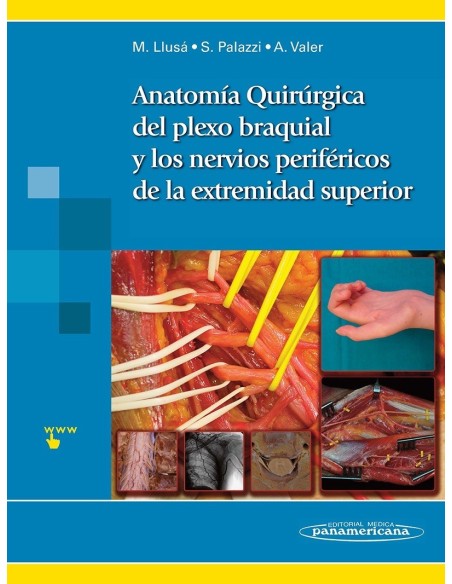 Anatomía quirúrgica del plexo braquial y de los nervios periféricos de la extremidad superior