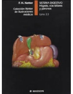 Sistema digestivo. Hígado