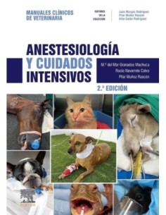 Anestesiología y cuidados intensivos