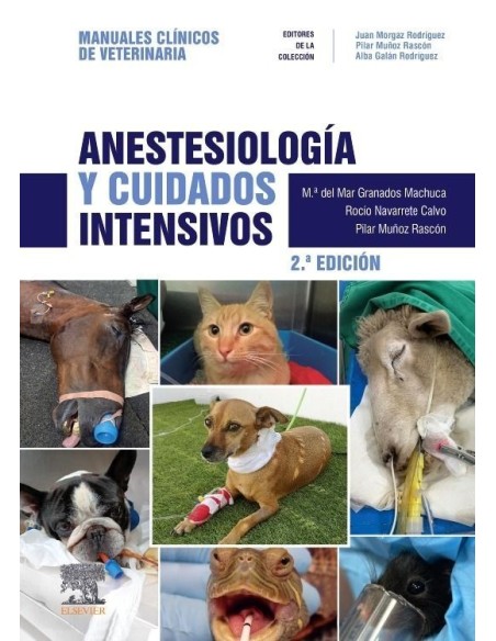 Anestesiología y cuidados intensivos
