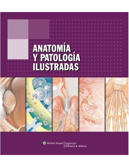 Anatomía y patología ilustradas