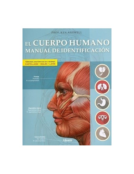 El cuerpo humano