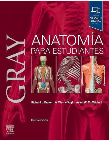 Pack 10 Gray Anatomia básica para estudiantes 4 edición + Netter Cuaderno de anatomía para colorear 3 edición