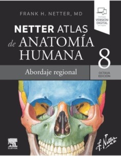 Netter. Atlas de anatomía humana. Abordaje regional 8 edición