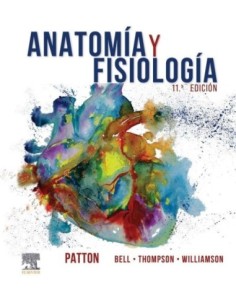 Anatomía y fisiología