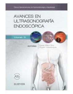 Avances en ultrasonografía endoscópica